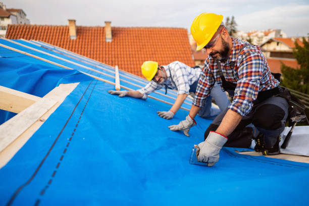 Best Emergency Roof Repair  in Bristol, FL